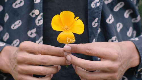The Gifs of Love animated visual